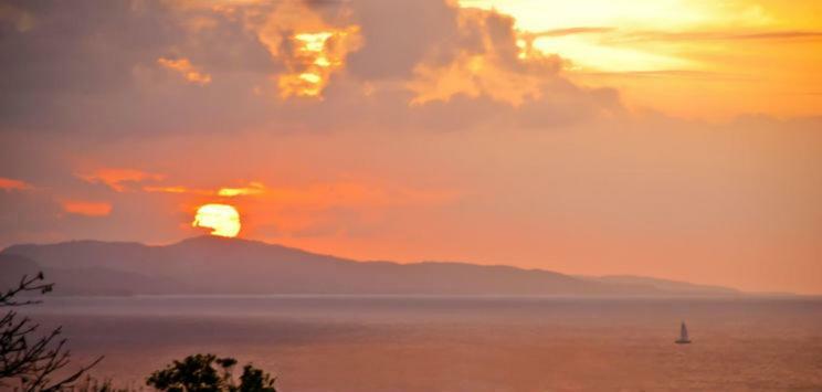 Mynt Retreat Bed & Breakfast Montego Bay Exterior foto