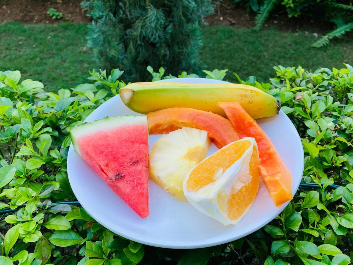 Mynt Retreat Bed & Breakfast Montego Bay Exterior foto